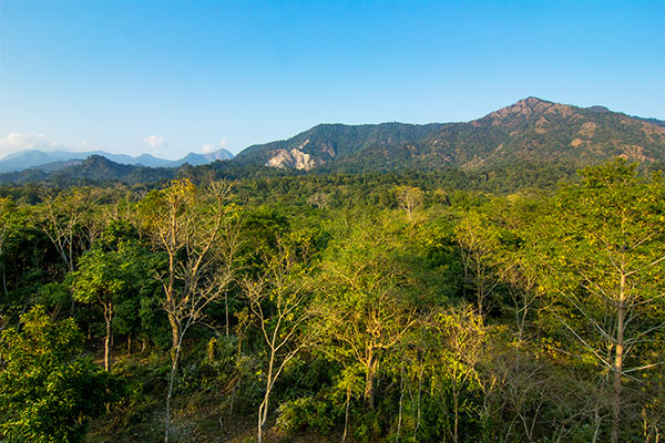 Buxa Tiger Reserve